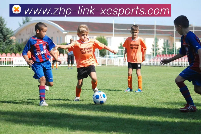 多媒体互动体验