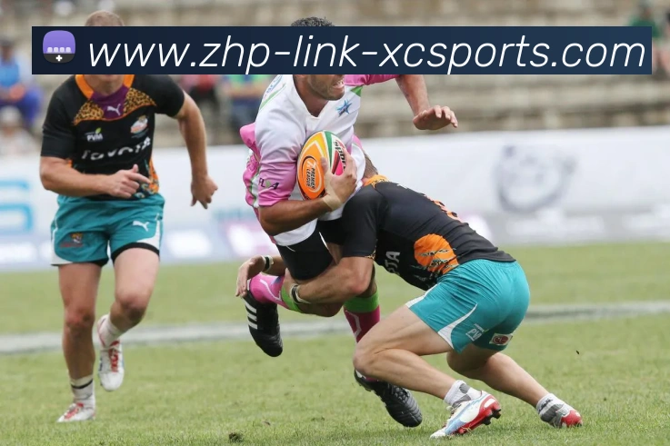 杏彩体育APP 高清赛事图