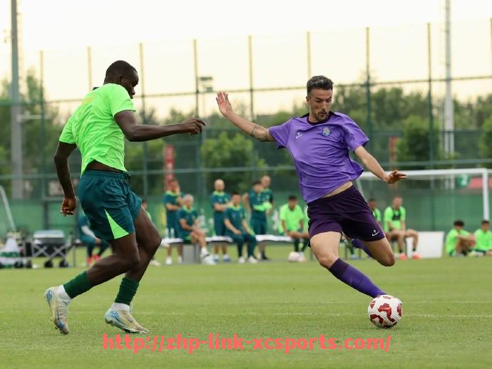 杏彩体育-世俱杯比赛录像回放合集：按轮次分类查找精彩片段